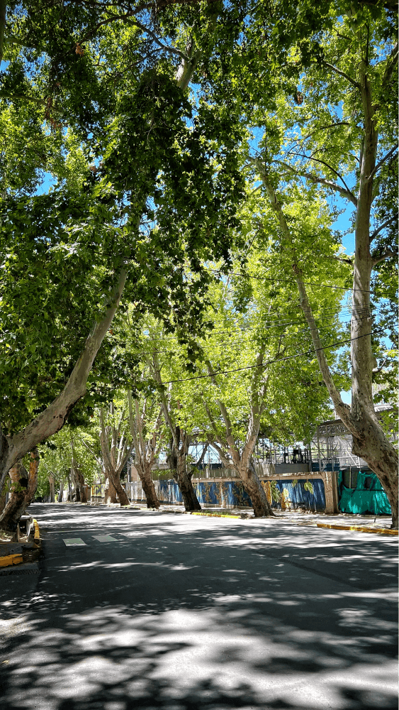 Card example background